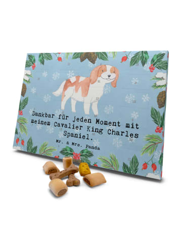 Mr. & Mrs. Panda Hunde Adventskalender Cavalier King Charles Spa... in Eisblau