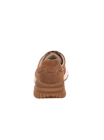 Gabor Sneaker für Herren in braun