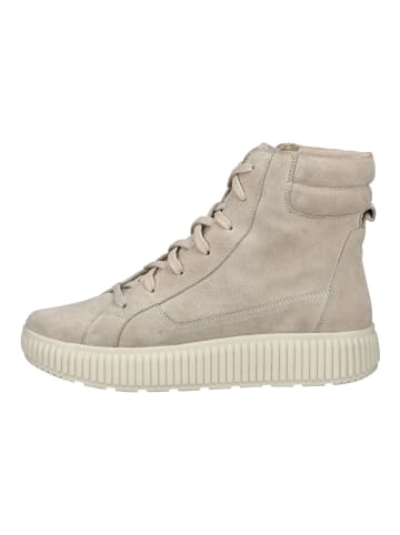 Geox Stiefelette in Taupe