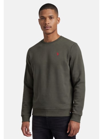 U.S. Polo Assn. P-015 in Dark Olive