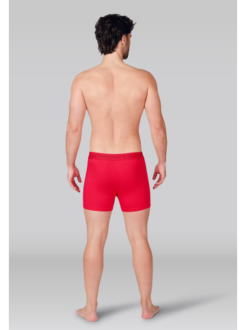 Muchachomalo 3er-Set: Boxershort in Mehrfarbig - für Herren
