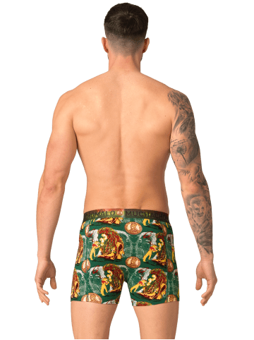 Muchachomalo 2er-Set: Boxershorts in Multicolor/Green