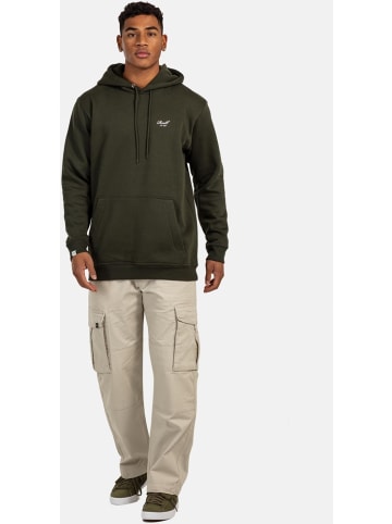 Reell Hoodie "Staple Logo Hoodie" in Grün