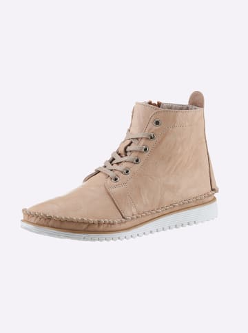 Andrea Conti Schnürstiefelette in rose