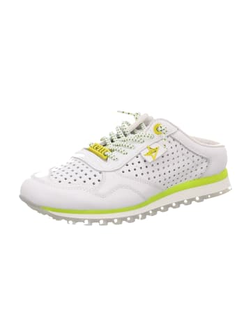 Cetti Sneaker Low in Weiß