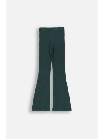 Coccodrillo Gerippte Leggings mit langem Hosenbein in grün