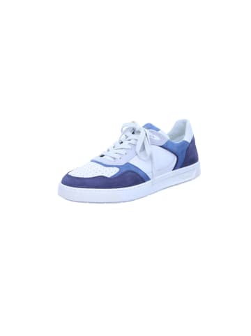 Sioux Sneaker für Herren in blau