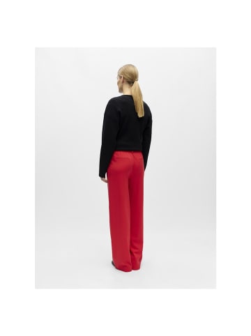 Object Hose in poinsettia