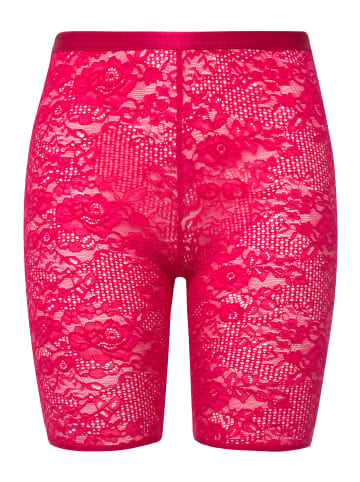 Ulla Popken Strumpfhose in beere