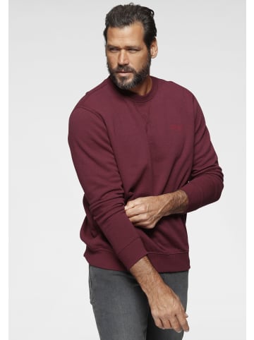 Man's World Sweatshirt in rot-meliert