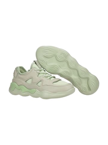 Ecco Sneaker Low in Weiß