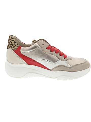 Gabor Sneaker Beige