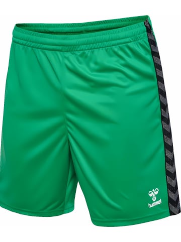 Hummel Sportshorts "Hmlauthentic Pl Shorts" in Multicolor