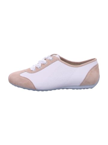 Semler Schnürschuhe in Beige
