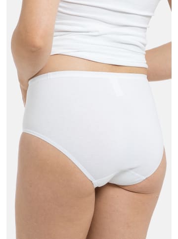 SPEIDEL Midi Slip bio.cotton Plus in Weiß