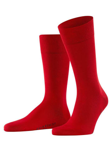 Falke Socken 1er Pack in Rot