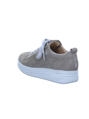 Hartjes Sneakers BOOGIE NATURAL in NATUREL