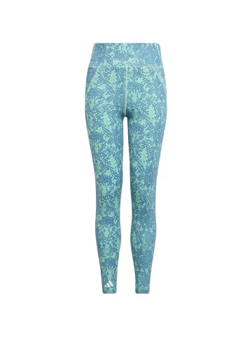 Adidas Sportswear Tights in easy green-blue fusion-white