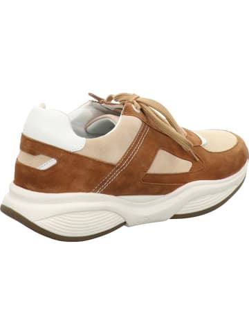 Xsensible Schnürschuh in braun