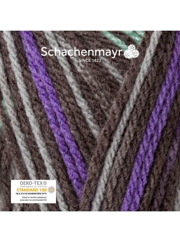 Schachenmayr since 1822 Handstrickgarne Bravo Color, 50g in Graphit