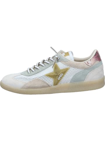 Cetti Sneakers Low in tierra