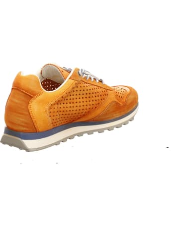 Cetti Sneaker in braun