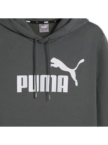 Puma Sweatshirt in Grau