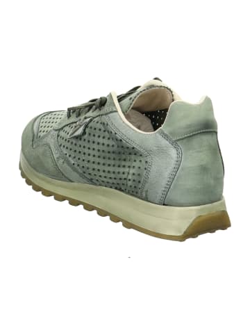 Cetti Sneaker Low in Grün