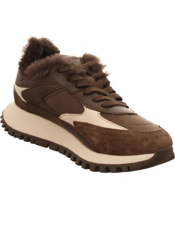 LLOYD Sneaker in braun