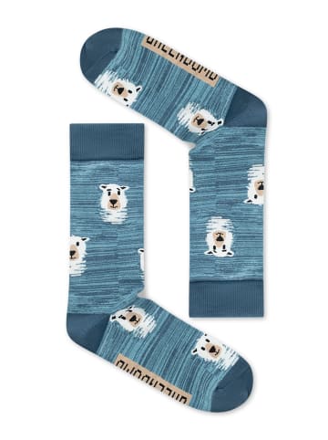 GreenBomb Socks Icebear Hunt 2 in Mix