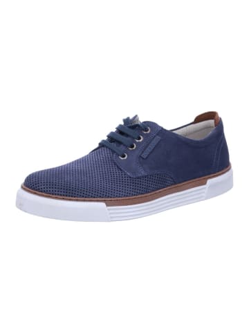 Pius Gabor Sneaker in blau