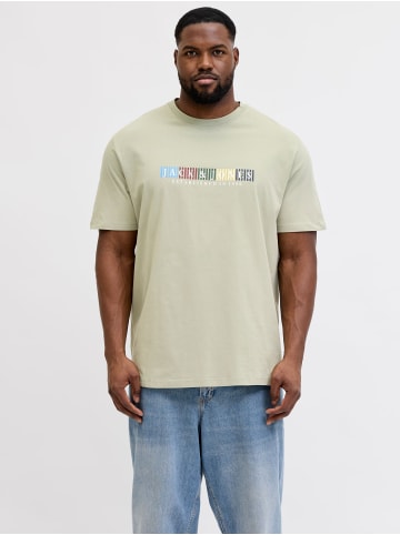 JACK & JONES PLUS T-shirt in Seagrass