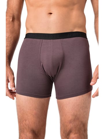 JP1880 Pants in schokolade