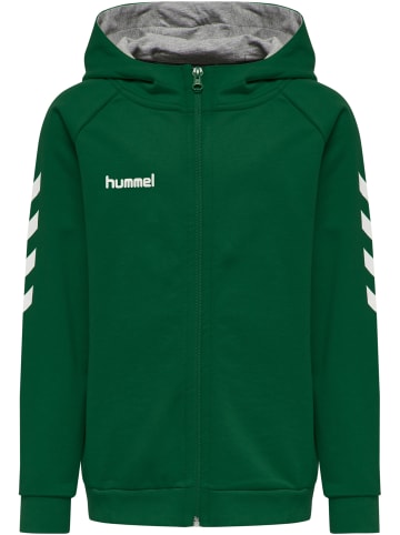 Hummel Hummel Cotton Kapuzenpullover Hmlgo Multisport Kinder in EVERGREEN