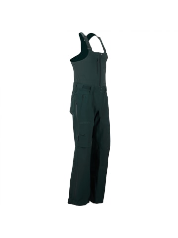 SCOTT W VERTIC 3L PANTS in Grün