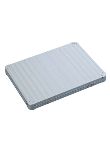 Aleon Laptophülle 42 cm platinum