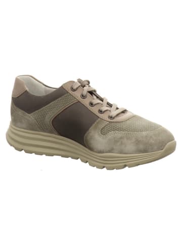 Mephisto Sneaker in beige