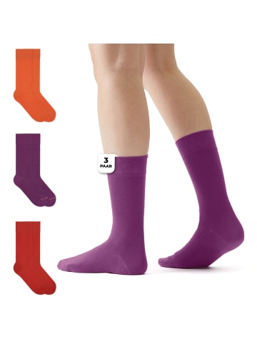 von Jungfeld Classic Socken-Set Signature Innenbund in Origami