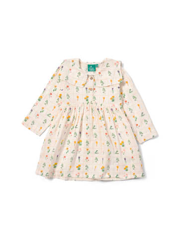Little Green Radicals Kleid aus Bio-Baumwolle in Creme