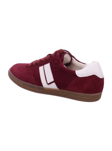 Paul Green Sneaker Low in rot