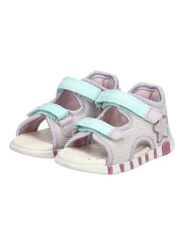 Geox Sandalen in Pink/Violett