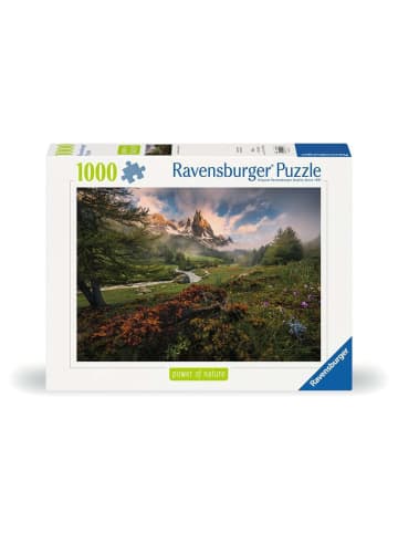 Ravensburger Puzzle 1.000 Teile Malerische Stimmung im Vallée de la Clarée, Französische Alpen Ab 14 Jahre in bunt