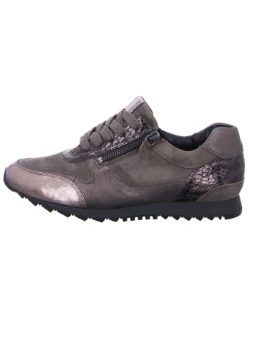 HASSIA Schnürschuh in beige