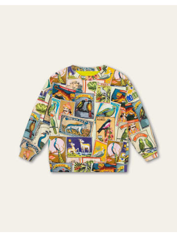 Oilily Harvest Sweater in Grün