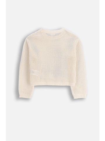 Coccodrillo Strickpullover in ecru