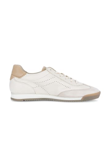 Gabor Sneaker low in beige