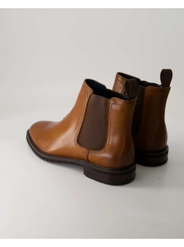 Daniel Kenneth Stiefeletten in Braun