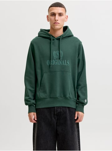 Jack & Jones Kapuzenpullover in Pine Grove
