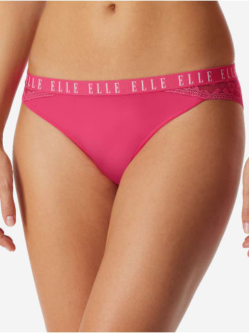 ELLE Brasilslip Lace in Lilac, royal blue, hot pink