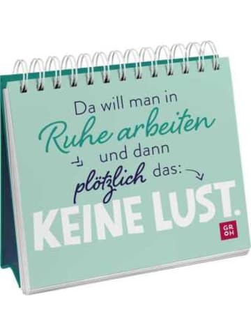Groh Buch - Da will man in Ruhe arbeiten und dann plötzlich das: keine Lust.